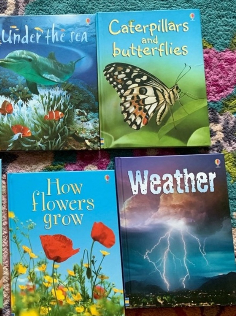 Kids Educational Book Set โ nature flowers weather Usborne homeschooling lot
